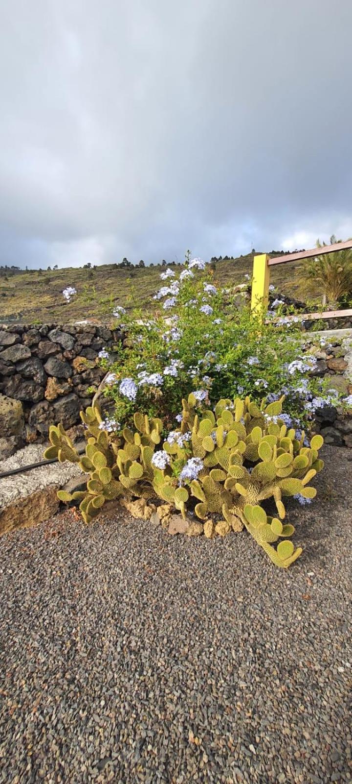 Casa Domingo Simon Villa Fuencaliente de la Palma Exteriör bild